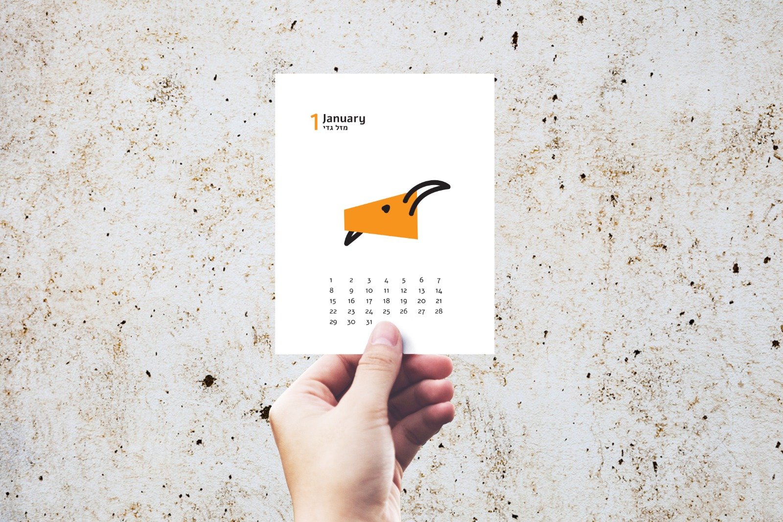 מזלות ילדים לוח עד – תמונה 7