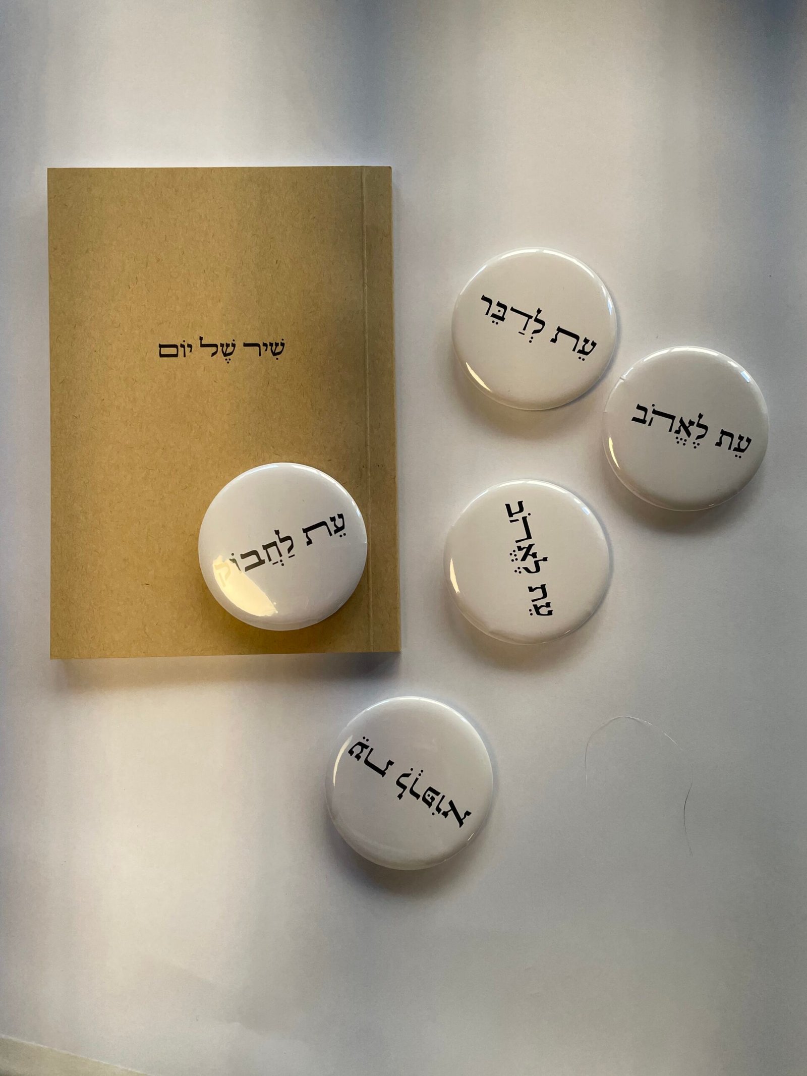 שיר של יום – תמונה 4