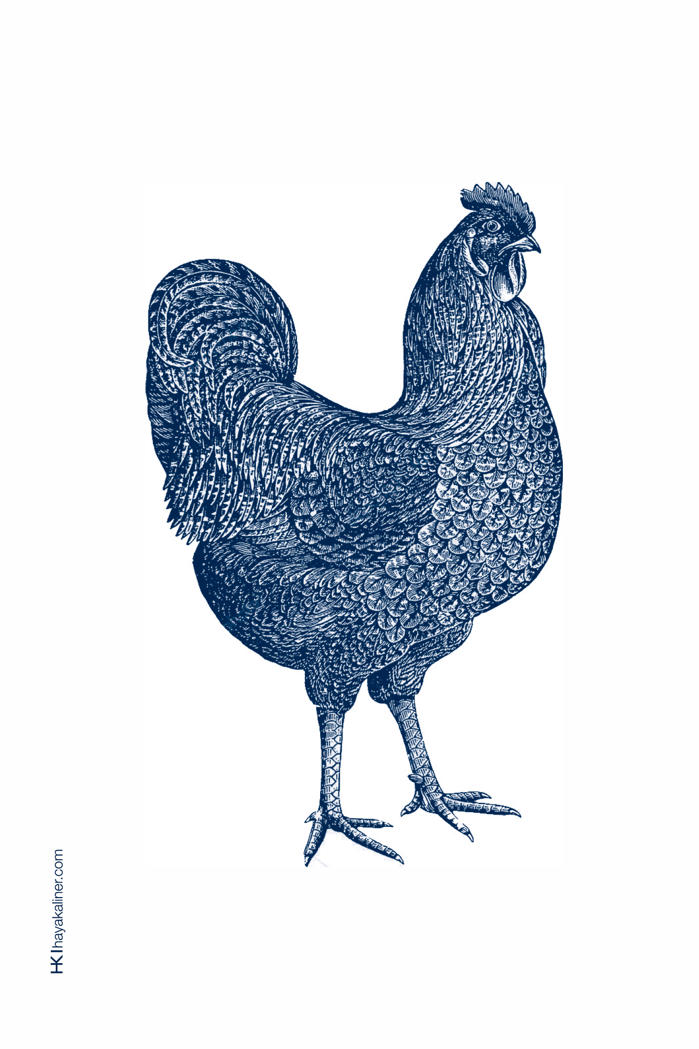 ״חי צומח דומם״ - כרטיסים – תמונה 11