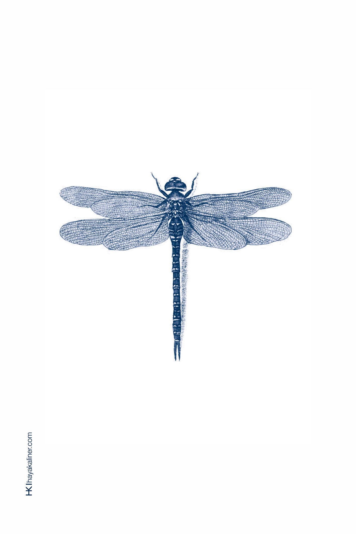 ״חי צומח דומם״ - כרטיסים – תמונה 6