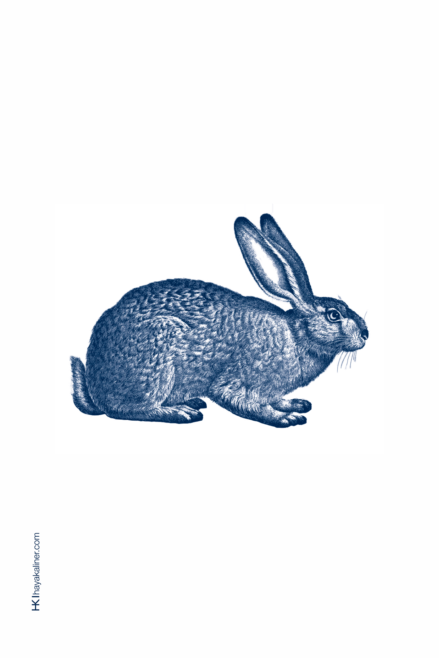 ״חי צומח דומם״ - כרטיסים – תמונה 5